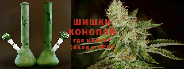 Альфа ПВП Новозыбков