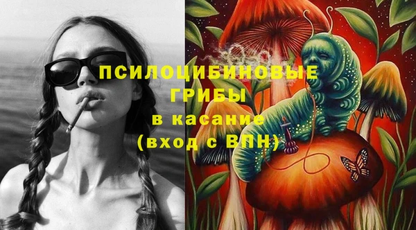 PSILOCYBIN Нефтегорск