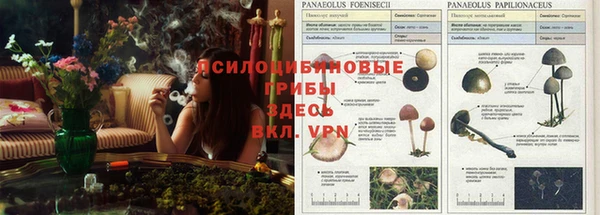 MDMA Нефтекумск