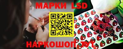 PSILOCYBIN Беслан