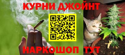 СК Донской