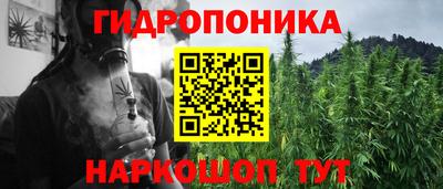 СК Донской