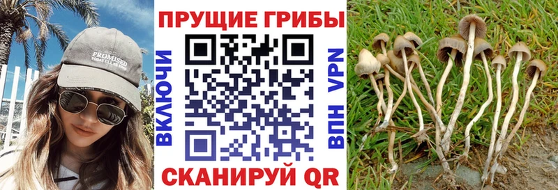 Галлюциногенные грибы ЛСД  Ипатово 